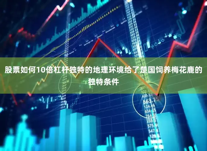 股票如何10倍杠杆独特的地理环境给了楚国饲养梅花鹿的独特条件